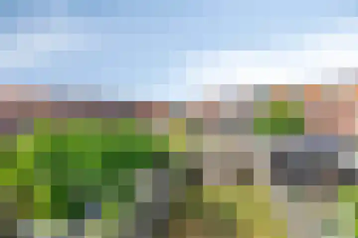 Van Eyckstraat 47 Groningen thumbnail 22