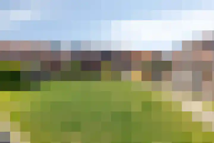 Van Eyckstraat 47 Groningen thumbnail 26