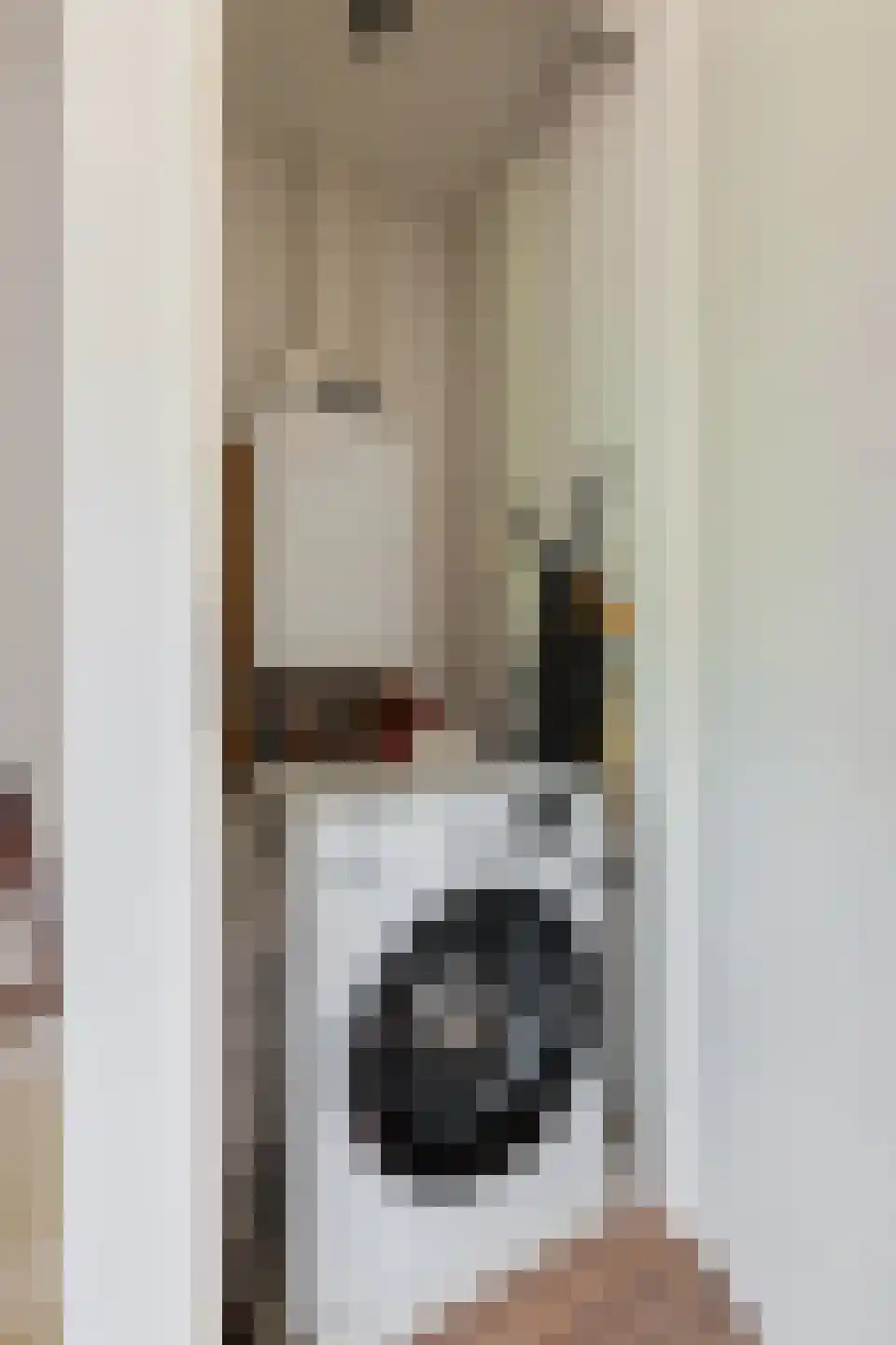 Van Eyckstraat 69 Groningen thumbnail 33