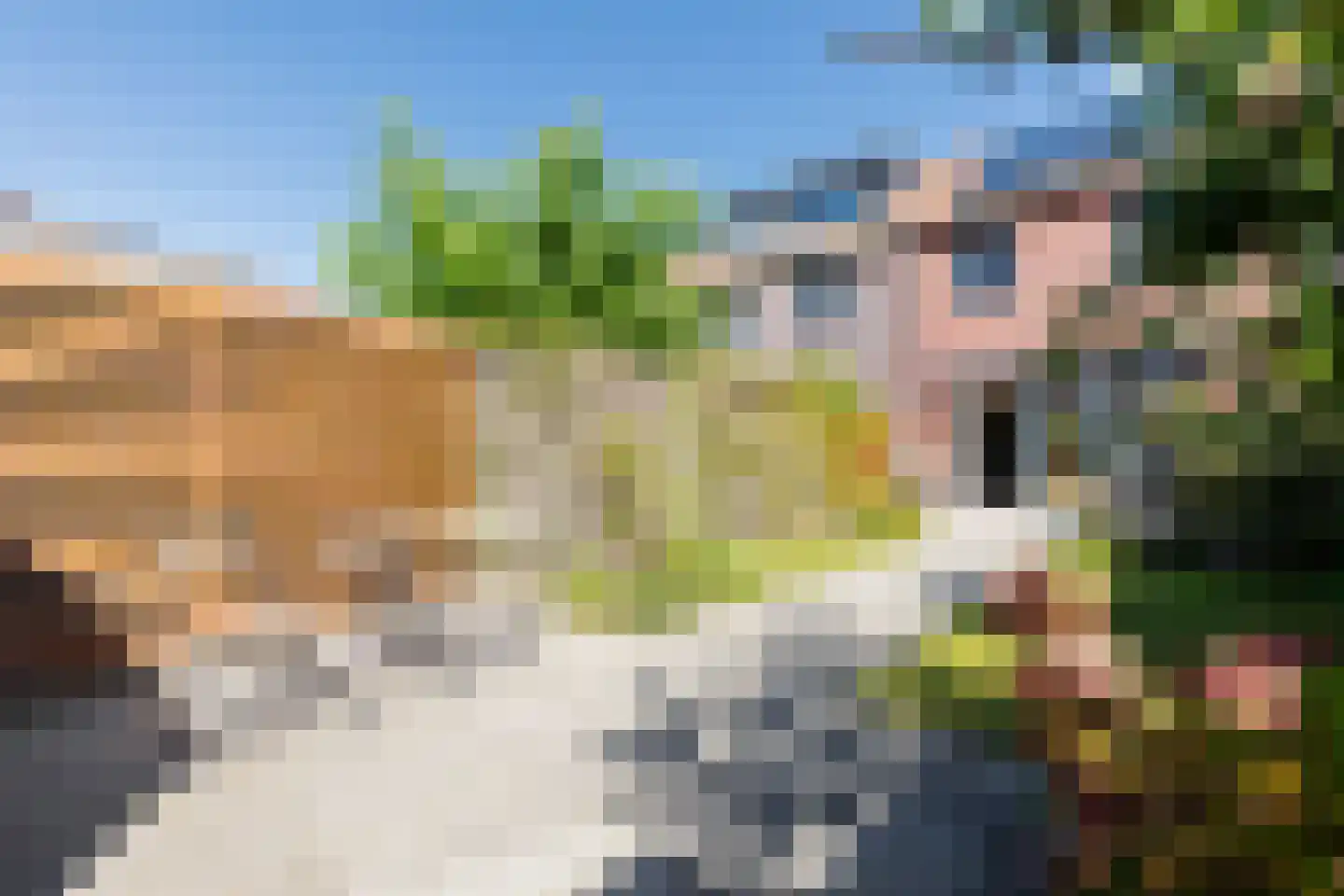 Van Eyckstraat 69 Groningen thumbnail 40