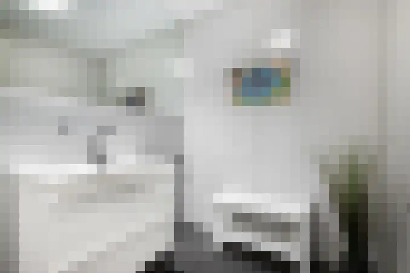 Van Eyckstraat 73 Groningen thumbnail 28