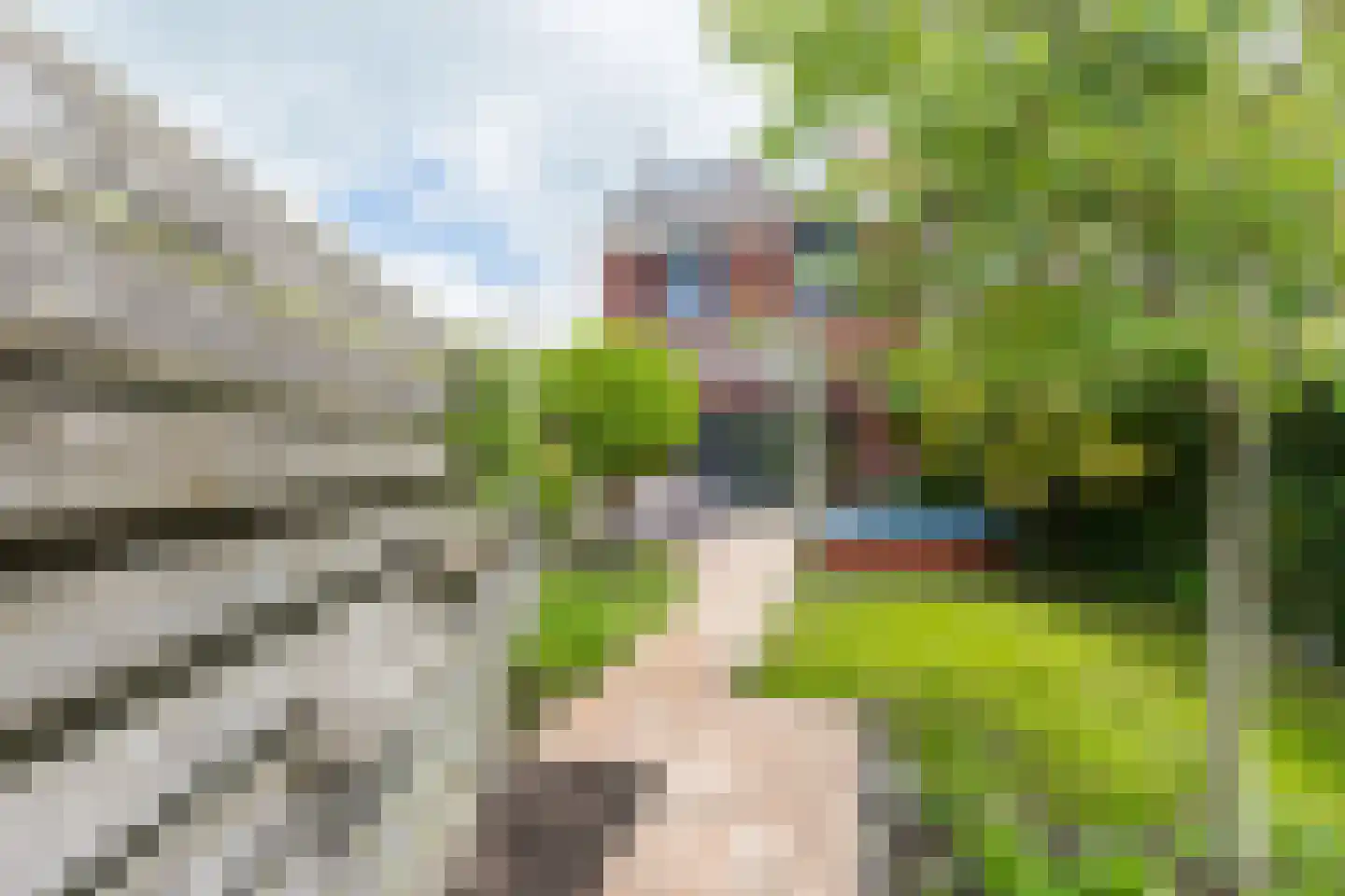 Van Eyckstraat 73 Groningen thumbnail 41