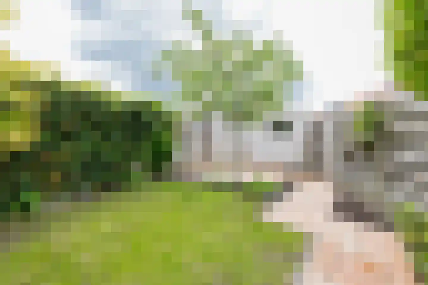 Van Eyckstraat 73 Groningen thumbnail 42