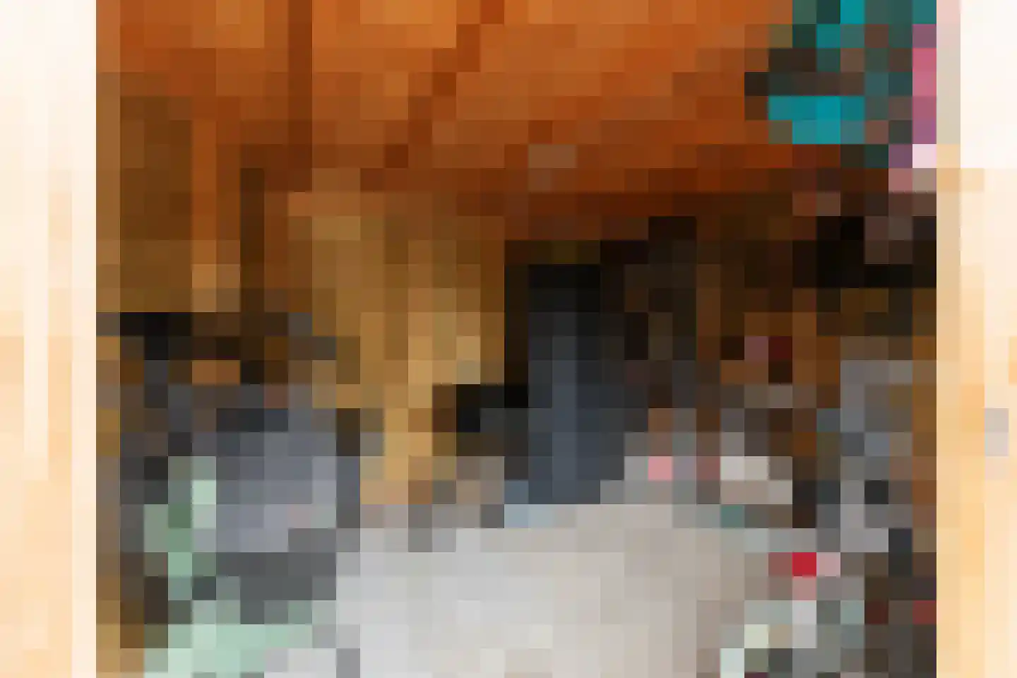 Van Eyckstraat 73 Groningen thumbnail 43