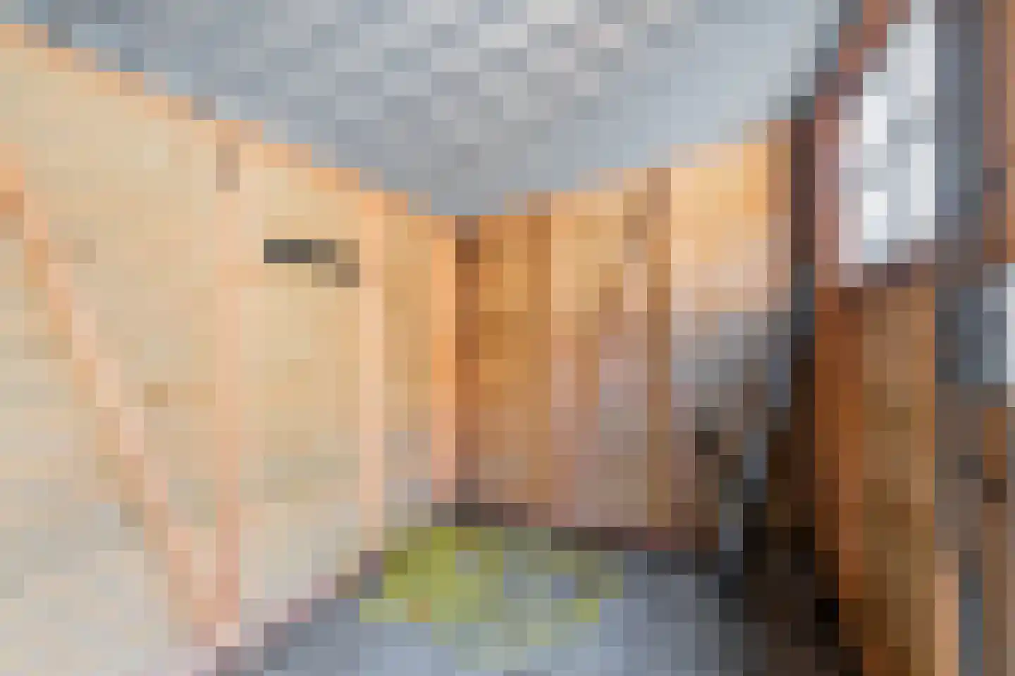 Van Eyckstraat 97 Groningen thumbnail 34