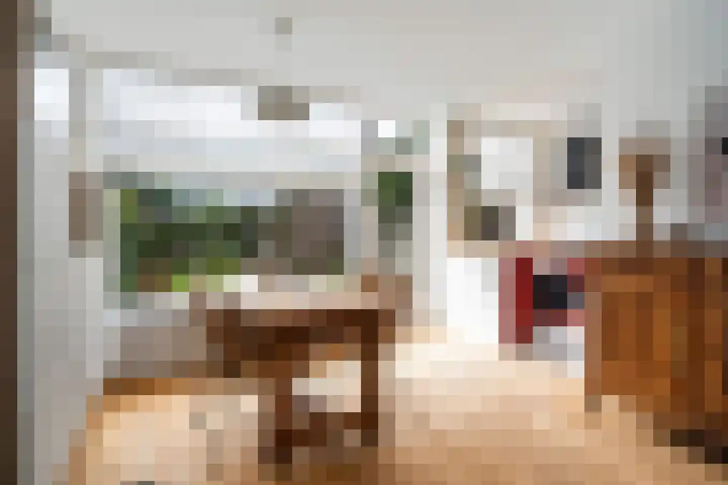 Van Eysingalaan 10 Utrecht thumbnail 16
