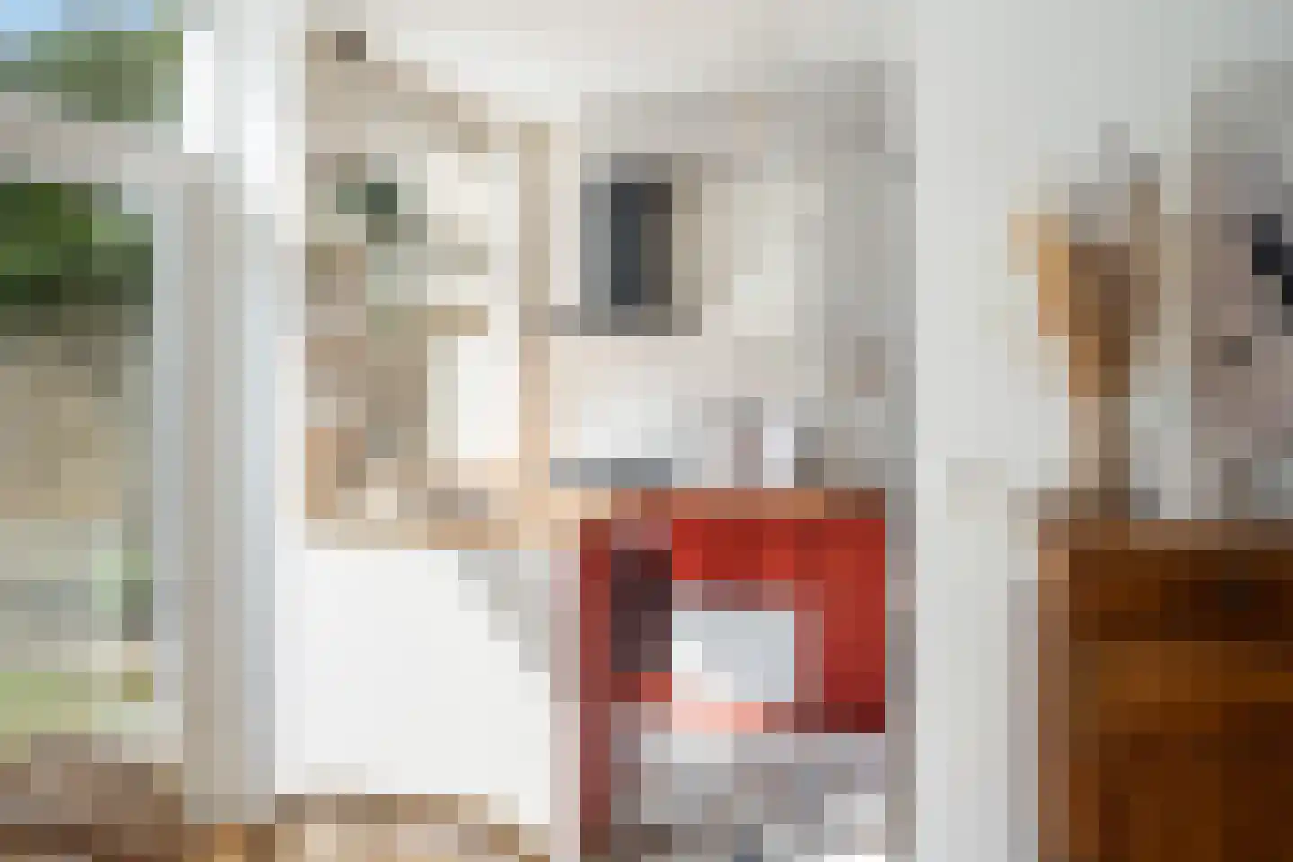 Van Eysingalaan 10 Utrecht thumbnail 17