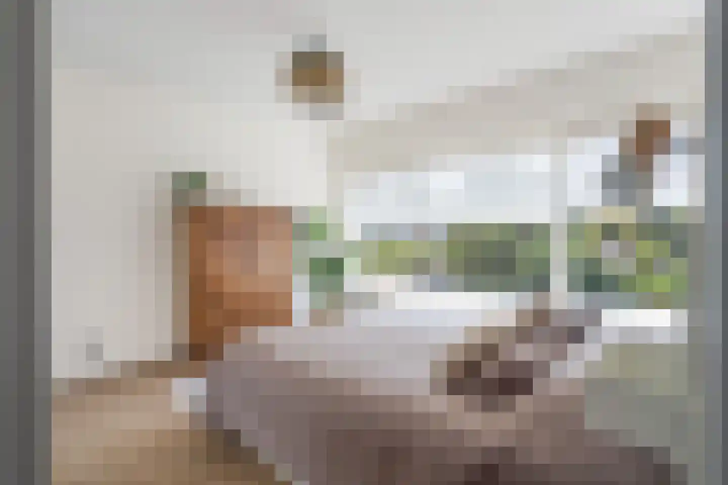 Van Eysingalaan 10 Utrecht thumbnail 20