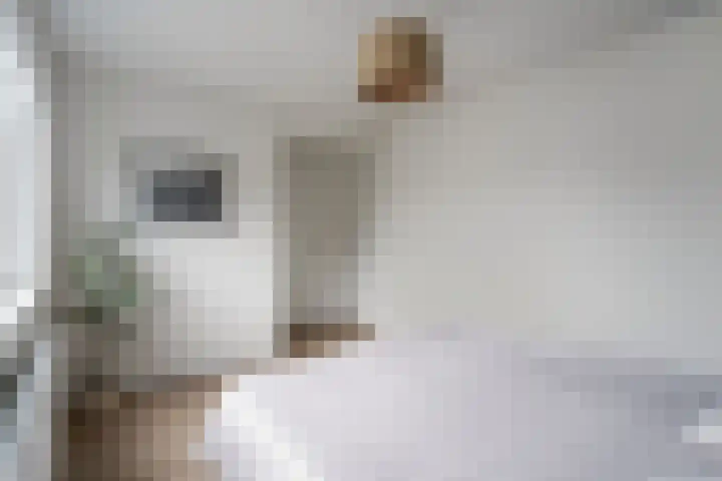 Van Eysingalaan 10 Utrecht thumbnail 31