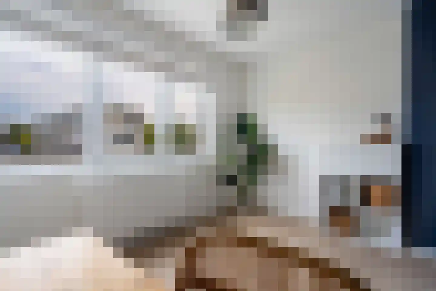 Van Eysingalaan 10 Utrecht thumbnail 33