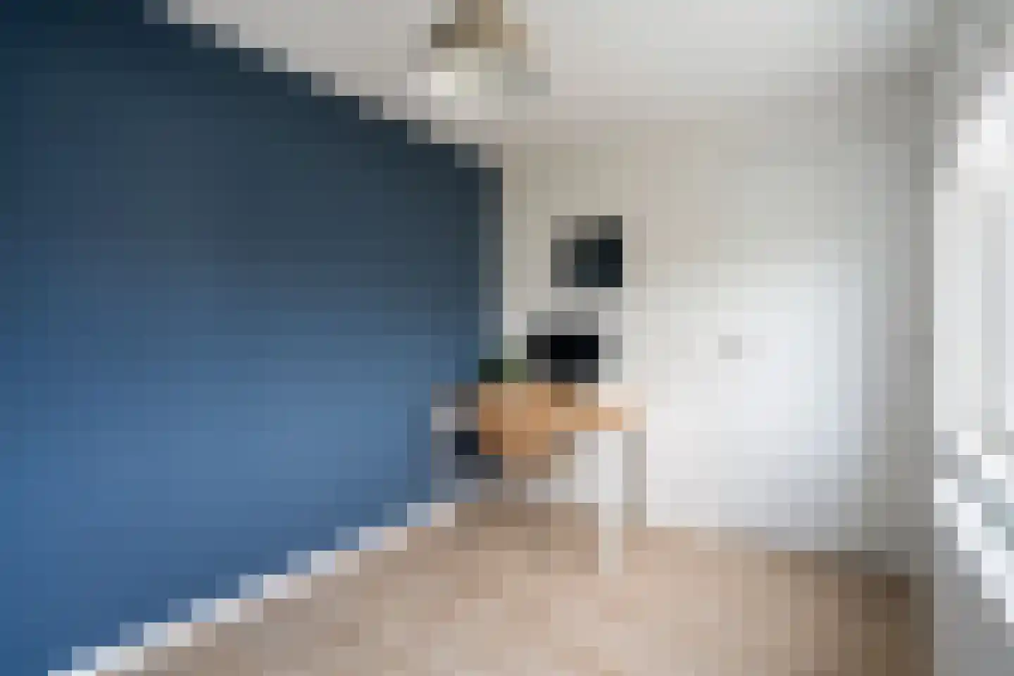 Van Eysingalaan 10 Utrecht thumbnail 34