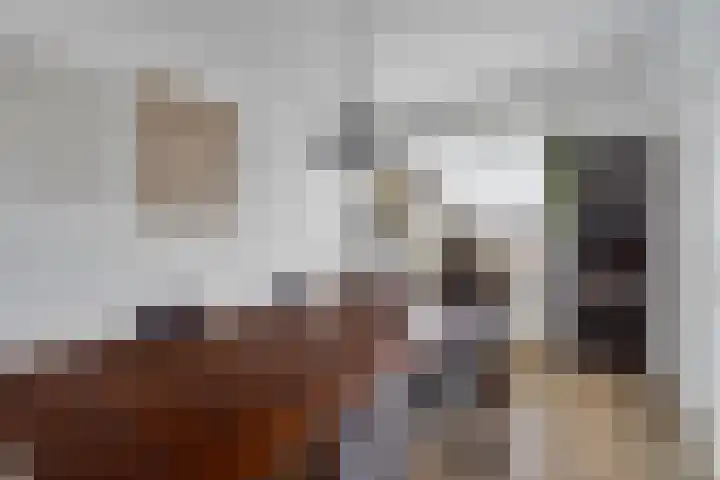 Van Eysingalaan 101 Utrecht thumbnail 13