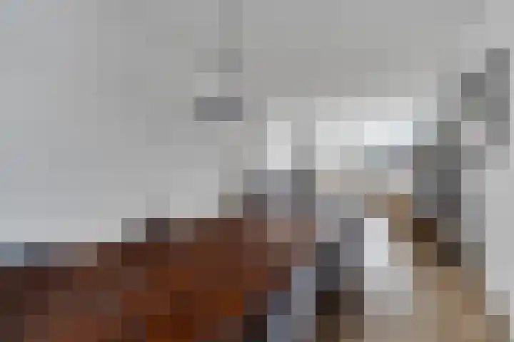 Van Eysingalaan 101 Utrecht thumbnail 15