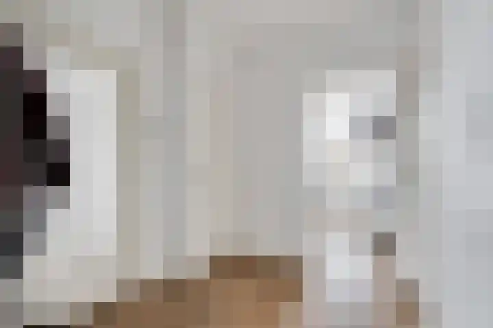 Van Eysingalaan 101 Utrecht thumbnail 16