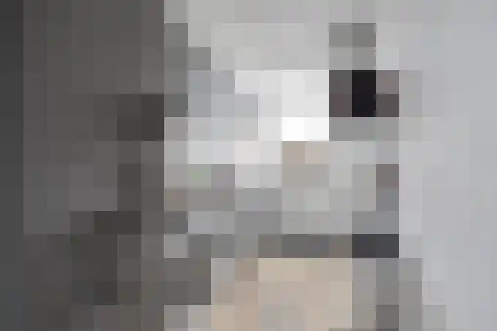 Van Eysingalaan 101 Utrecht thumbnail 17