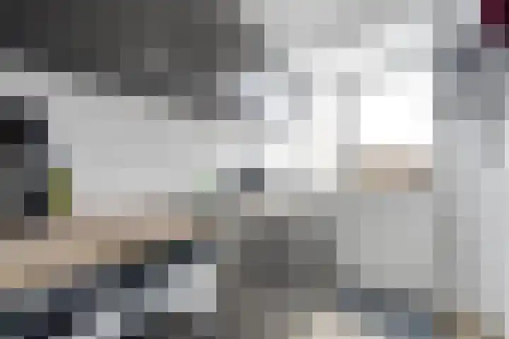 Van Eysingalaan 101 Utrecht thumbnail 18