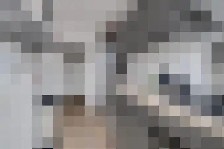 Van Eysingalaan 101 Utrecht thumbnail 19