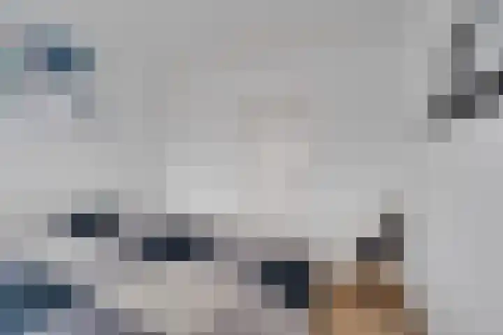 Van Eysingalaan 101 Utrecht thumbnail 22