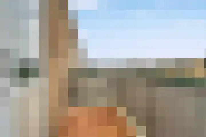 Van Eysingalaan 101 Utrecht thumbnail 28