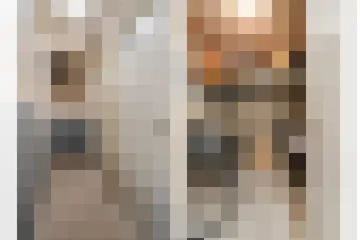Van Eysingalaan 101 Utrecht thumbnail 30