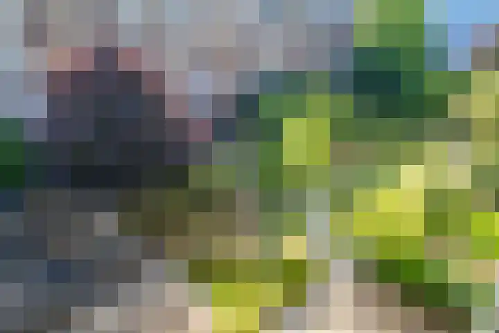 Van Eysingalaan 117 Utrecht thumbnail 18
