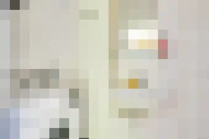 Van Eysingalaan 117 Utrecht thumbnail 23