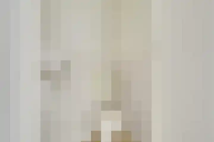 Van Eysingalaan 117 Utrecht thumbnail 25