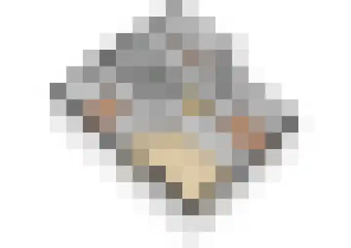 Van Eysingalaan 117 Utrecht thumbnail 34