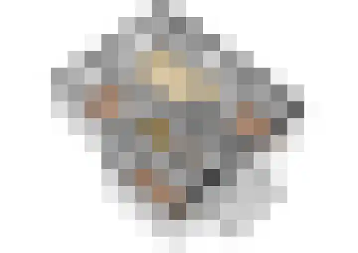 Van Eysingalaan 117 Utrecht thumbnail 35