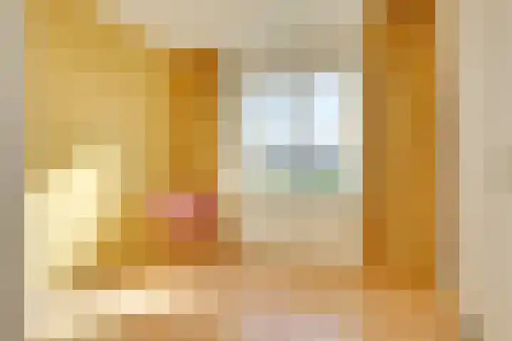 Van Eysingalaan 117 Utrecht thumbnail 8