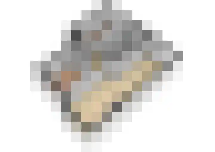 Van Eysingalaan 119 Utrecht thumbnail 41