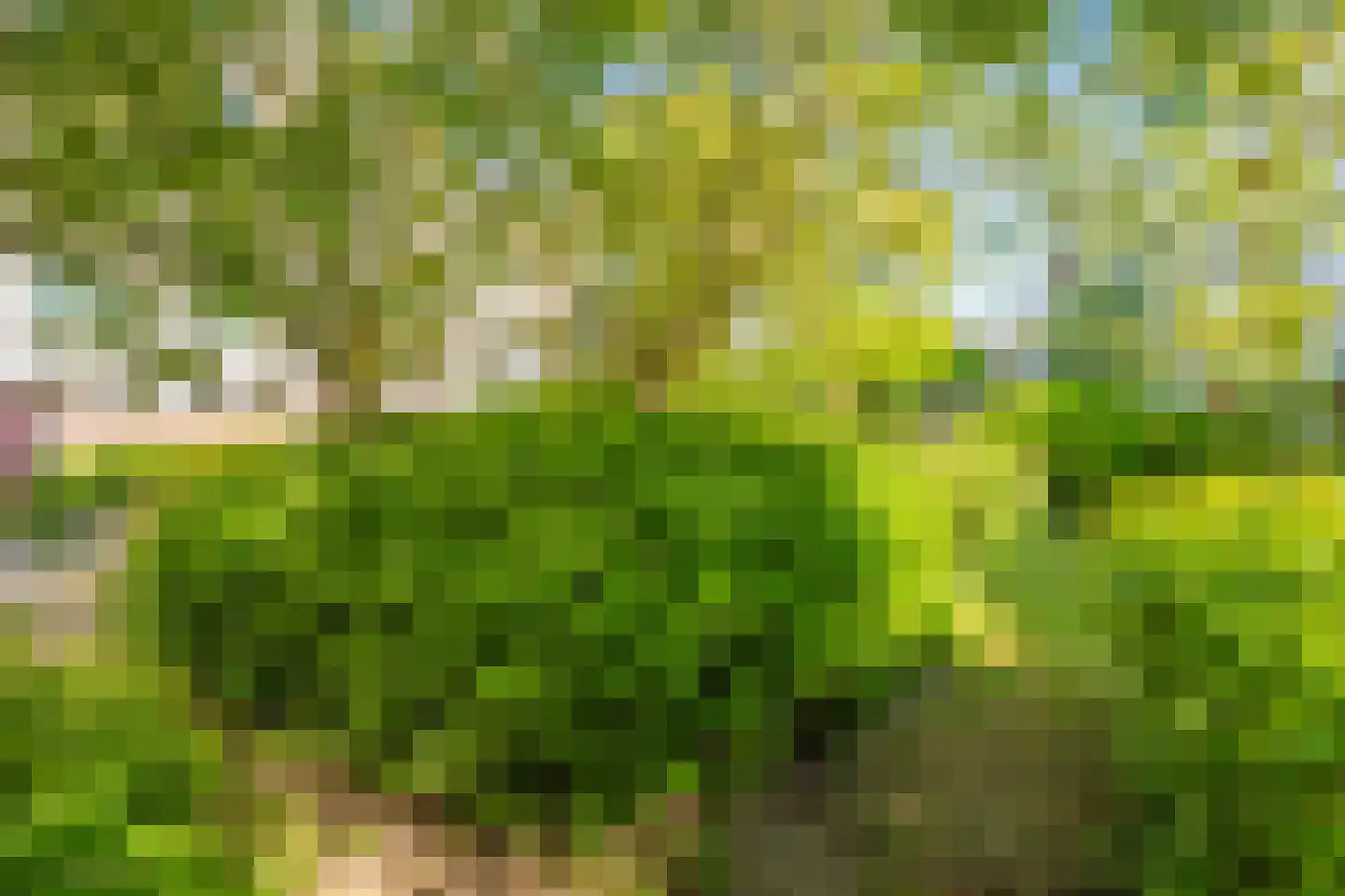 Van Eysingalaan 151 Utrecht thumbnail 33