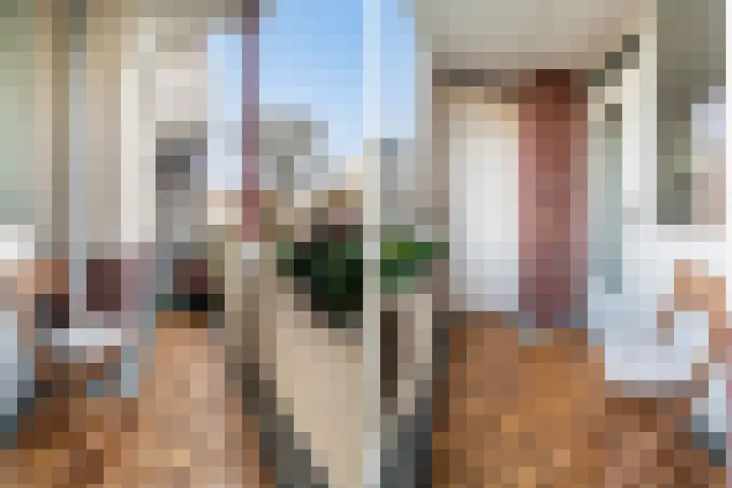 Van Eysingalaan 155 Utrecht thumbnail 15