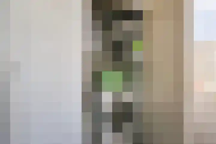 Van Eysingalaan 157 Utrecht thumbnail 15