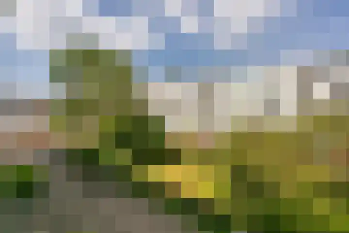 Van Eysingalaan 157 Utrecht thumbnail 16