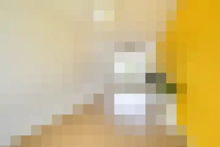 Van Eysingalaan 16 Utrecht thumbnail 12