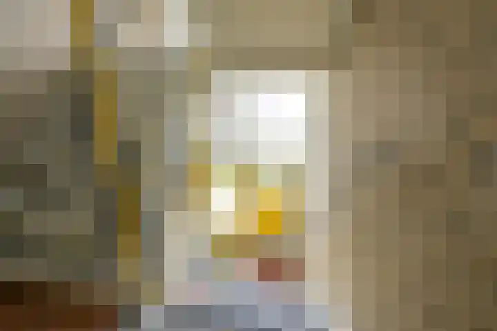 Van Eysingalaan 16 Utrecht thumbnail 32