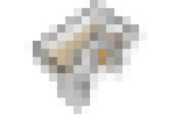 Van Eysingalaan 16 Utrecht thumbnail 50
