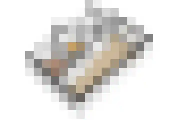 Van Eysingalaan 16 Utrecht thumbnail 51