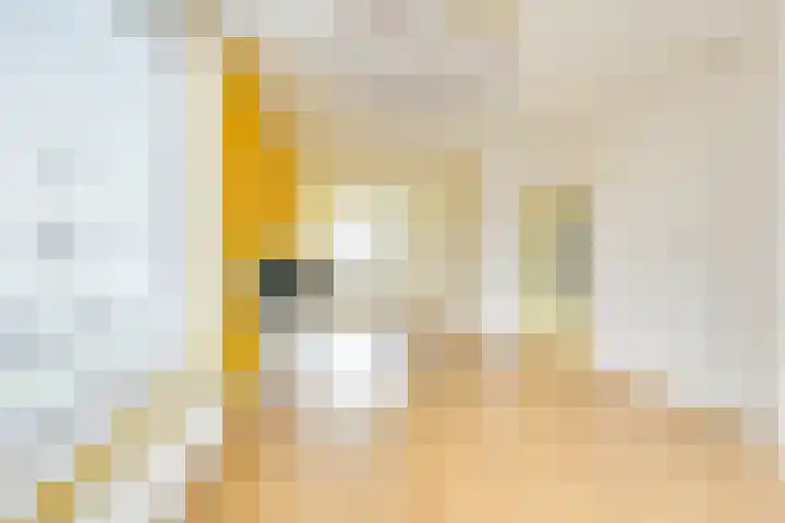 Van Eysingalaan 16 Utrecht thumbnail 7