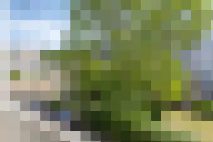 Van Eysingalaan 173 Utrecht thumbnail 12