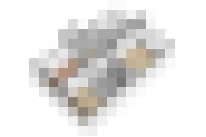 Van Eysingalaan 183 Utrecht thumbnail 36