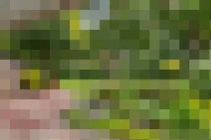 Van Eysingalaan 183 Utrecht thumbnail 6