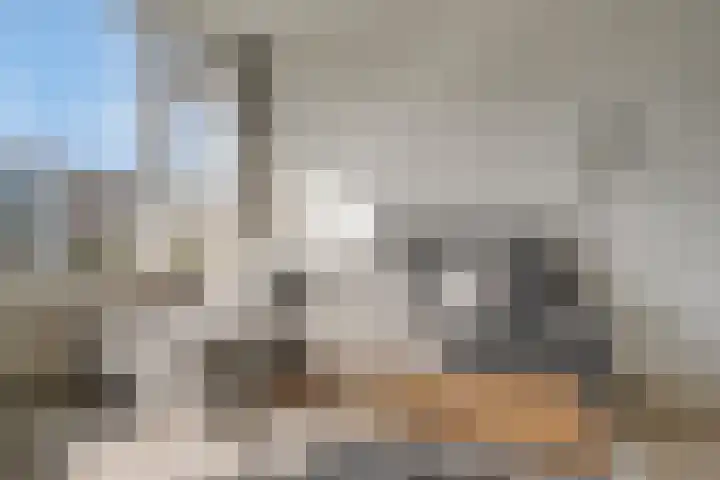 Van Eysingalaan 191 Utrecht thumbnail 11