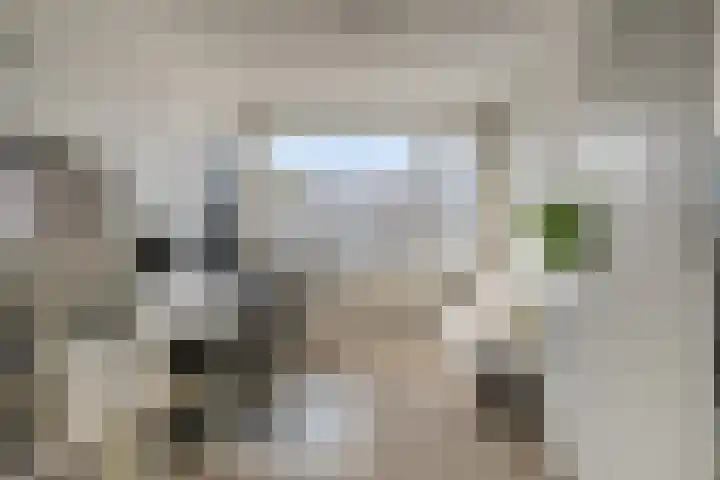 Van Eysingalaan 191 Utrecht thumbnail 19