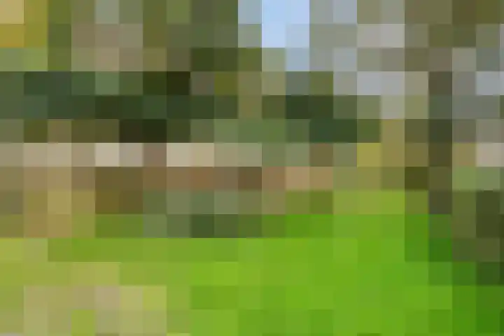 Van Eysingalaan 191 Utrecht thumbnail 22