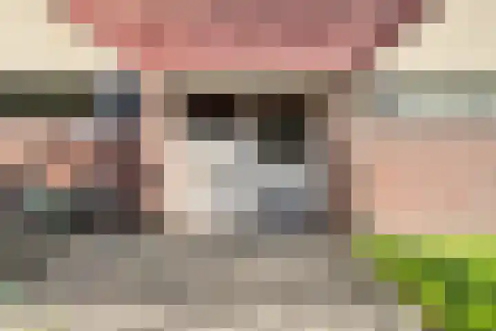 Van Eysingalaan 191 Utrecht thumbnail 23