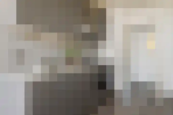 Van Eysingalaan 199 Utrecht thumbnail 12