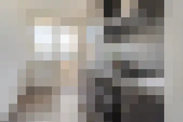 Van Eysingalaan 199 Utrecht thumbnail 13
