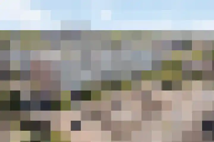 Van Eysingalaan 199 Utrecht thumbnail 24